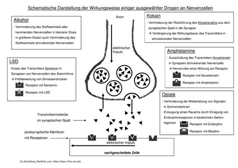 Darstellung der Wirkungsweise von Dextromethorphanhydrobromid im Gehirn und auf die Atemwege