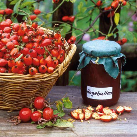 Darstellung des Vitamin-C-Gehalts in Hagebutten im Vergleich zu anderen Früchten