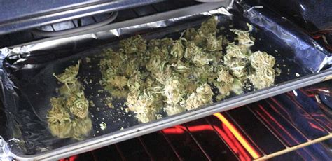 Decarboxylierung im Ofen: zerkleinertes Cannabis auf Backblech
