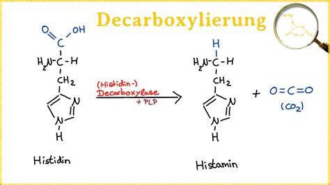 Dehydration und Decarboxylierung auf Backblech