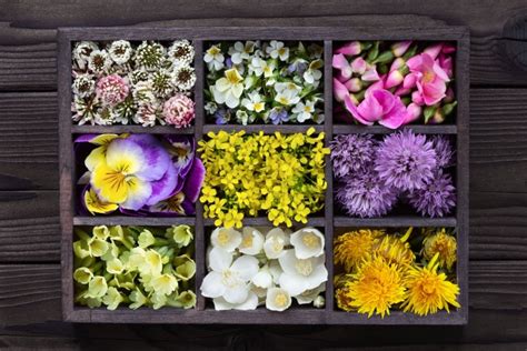 Dekorationsideen: Himbeeren, Schokoraspel, essbare Blüten