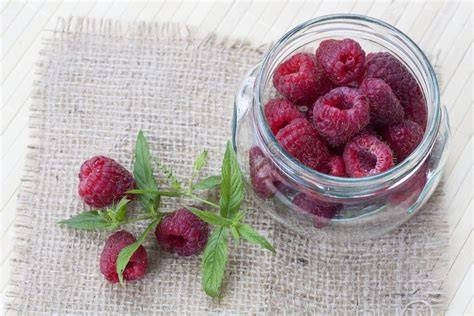 Dekorationsideen: Puderzucker, frische Himbeeren, Minze auf der Rolle