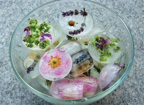 Dekorative Eiswürfel mit Blüten in Zitronenlimonade