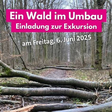Demonstration des Trüffelbaumpflanzens bei einer Exkursion
