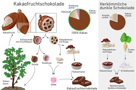 Der Aufbau der Grünkohl-Praline: von der Füllung zur Schokoladenhülle