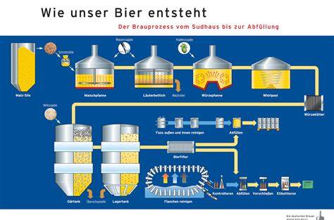 Der Brauprozess und Zuckergehalt - Schema