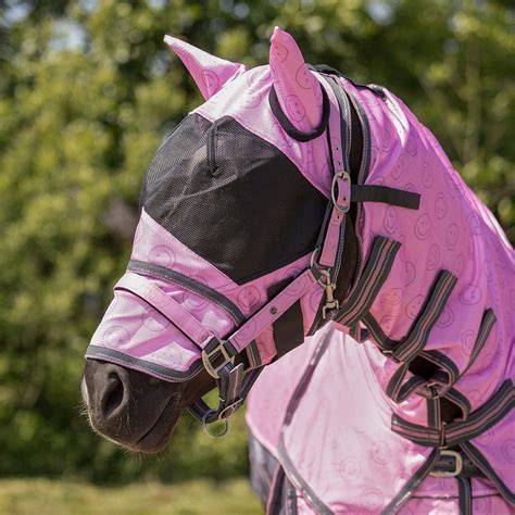 Detailaufnahme: Kopf und Haube mit Fondant überzogen