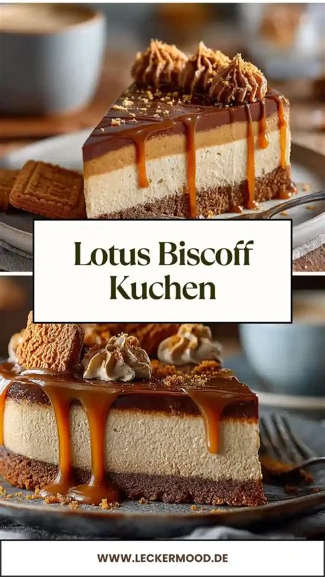 Detailaufnahme karamellisierter Oberfläche eines Biscoff Kekses