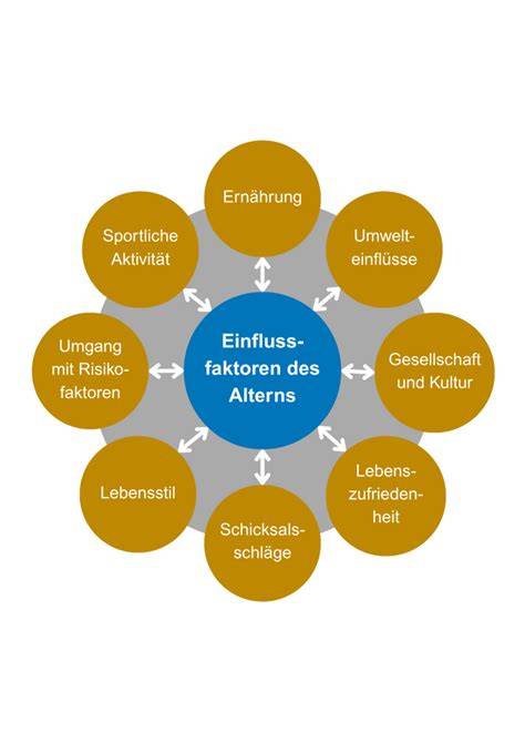 Diagramm: Einflussfaktoren moderner Popschlager