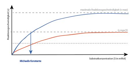Diagramm: Enzymhemmung bei Kohlenhydratblockern