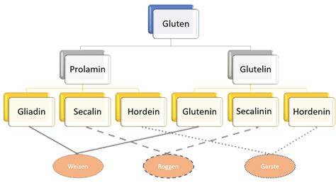 Diagramm: Gluten- und Laktose-Hinweise in Fertigprodukten