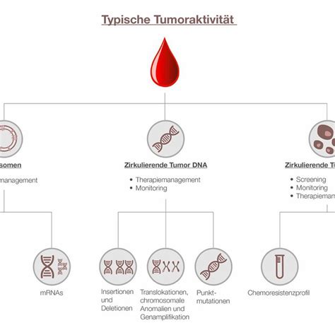 Diagramm: Möglichkeiten der Flüssigbiopsie zur Krebsfrüherkennung