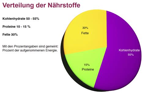 Diagramm: Nährstoffverteilung von Nüssen (Fette, Proteine, Vitamine)