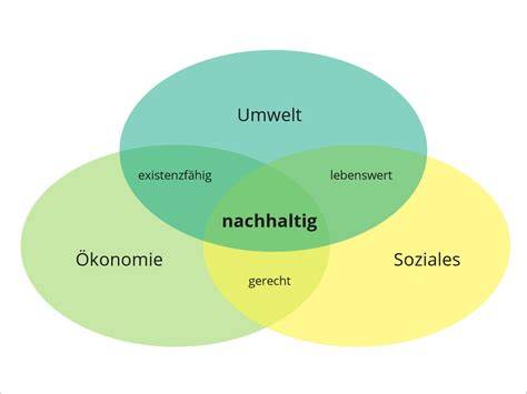 Diagramm: Nachhaltigkeits- und Herkunftskonzept von Cailler Schokolade