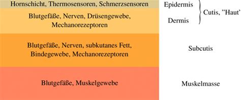 Diagramm: Schichtenaufbau des Butterkekskuchens