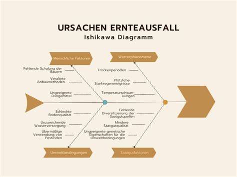 Diagramm: Schritt-für-Schritt-Backprozess