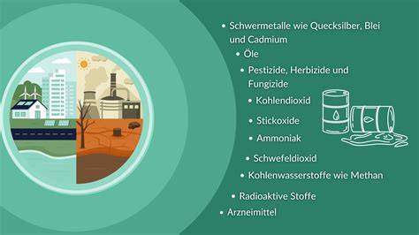 Diagramm: Sensorik, Schadstoffe, Deklaration - Bewertungsanteile im Test