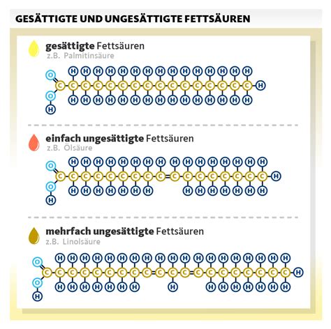 Diagramm: Theoretische Wege der Gluconeogenese aus Fettsäuren - Rolle von Azeton