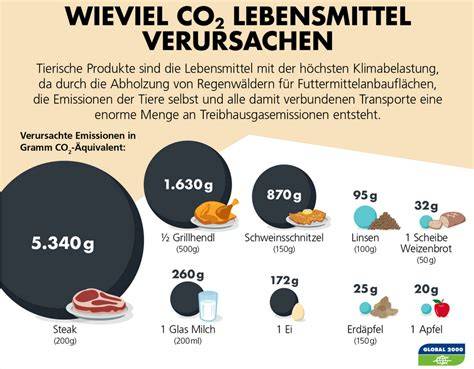 Diagramm: Vergleich der Nährstoffverluste beim Wässern vs. Bedampfen