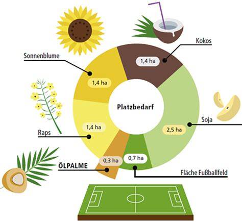 Diagramm: Vor- und Nachteile verschiedener Backöle (Rapsöl, Sonnenblumenöl, Kokosöl)