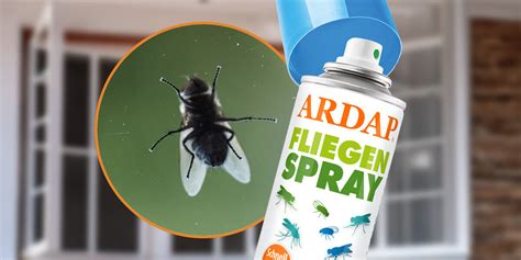 Diagramm: Vorbeugende Maßnahmen gegen Fliegen im Haushalt