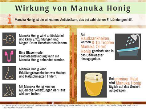 Diagramm: Wirkmechanismus von Manuka Honig bei bakteriellen Infektionen