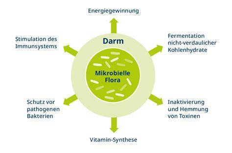 Diagramm_Honig_Mikrobiom_Effekt