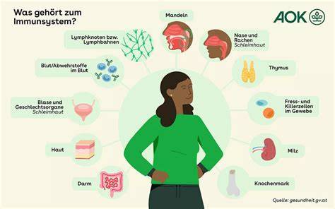 Die Wirkung von Polyphenolen auf das Immunsystem (Infografik)