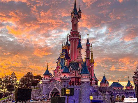 Disneyland Paris Törtchen und Geburtstagsfeiern