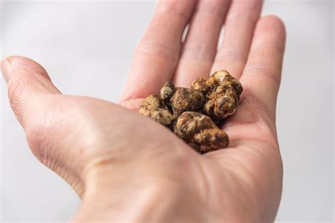 Dosierungsrechner für Magic Truffles