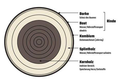 Dragees, Zuckerüberzugsschichten und Querschnitt eines mit Zucker überzogenen Kerns