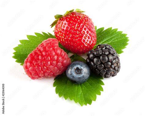 Drei Beerenvarianten: Brombeere, Himbeere, Erdbeere als Schlieren im Frozen Yoghurt