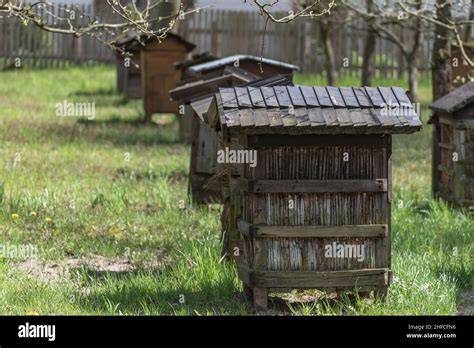 Drohnensaat auf vermintem Feld / Bienenstöcke an Minenfeldrand