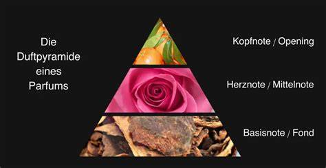 Duftkomposition: Tuberose, Honig, Tonkabohne und Patchouli als Duftpyramide