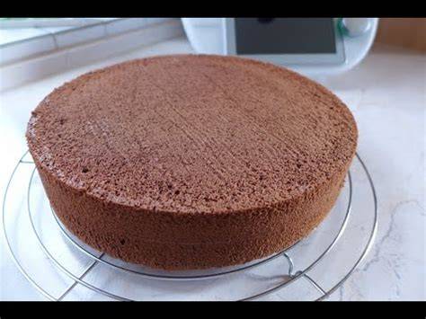 Dunkler Schoko-Biskuit fertig gebacken in Springform
