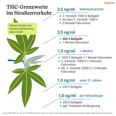 EU-Grenzwerte für THC in Lebensmitteln