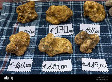 Echte italienische Trüffel auf dem Markt