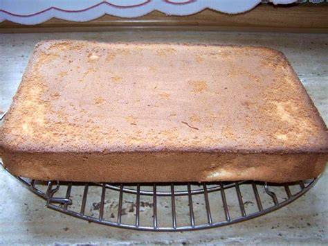 Eine gebackene Biskuitboden-Tarte auf einem Rost zum Auskühlen