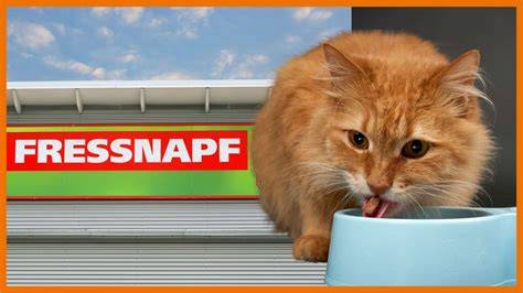 Einkauf Katzenfutter bei Fressnapf