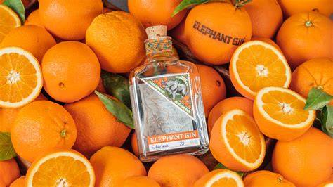 Elephant Orange Cocoa Gin Flasche mit Kakaobohnen und Orangenscheiben