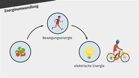 Energiegewinnung durch verschiedene Stoffwechselformen