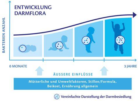Entwicklung der Darmflora beim Baby
