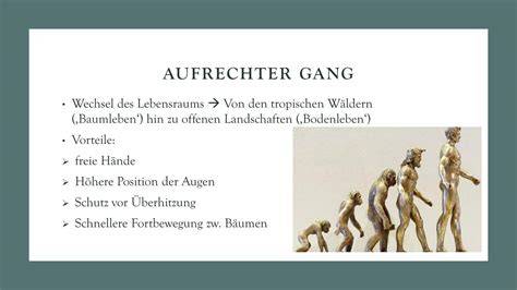 Entwicklung des Kinder-Schokolade-Verpackungsdesigns