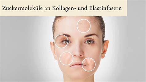 Entzündungsprozesse durch Zucker