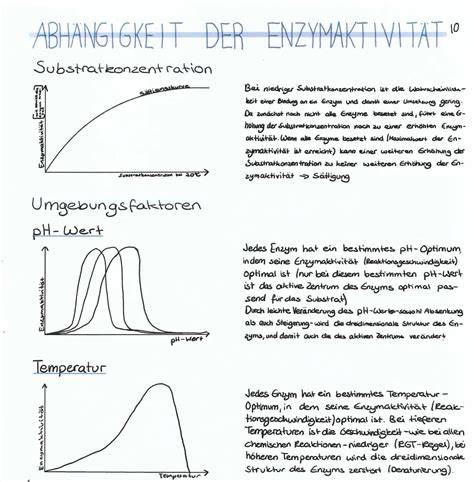 Enzymaktivität im Honig: Qualitätsanalyse und Einflussfaktoren