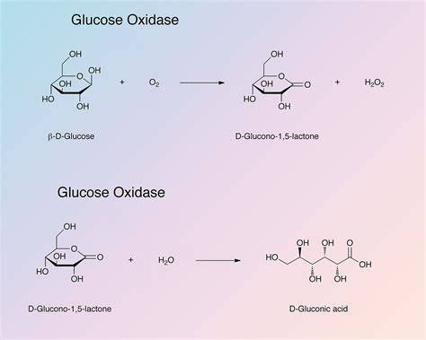 Enzymatische Honigwirkung - Infografik über Glucose-Oxidase