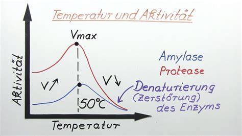 Enzyme in Früchten und ihre Wirkung auf Gelatine