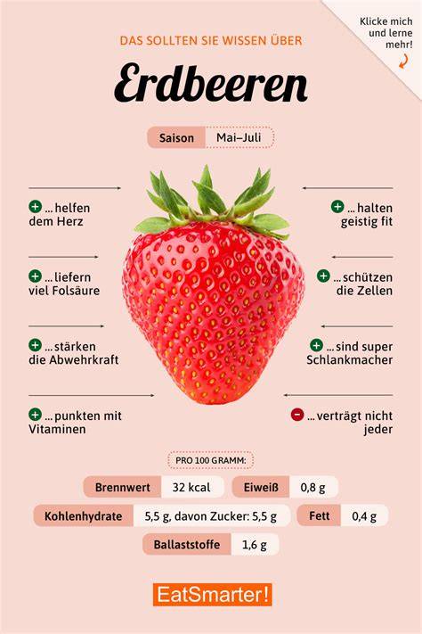 Erdbeer-Rezepte Infografik