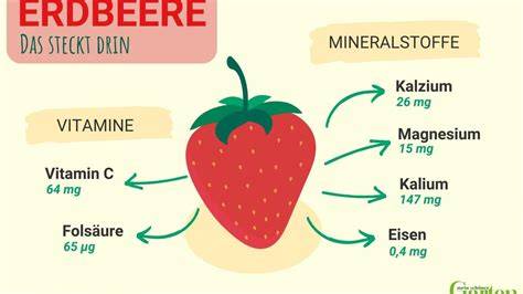 Erdbeeren - gesunde Inhaltsstoffe