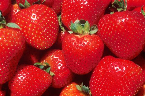 Erdbeeren Nahaufnahme